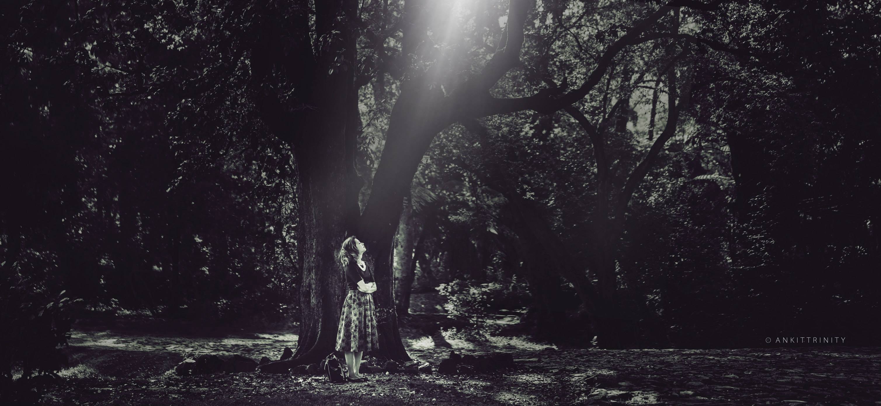 11393029_1592904870981865_6109836331430820101_o