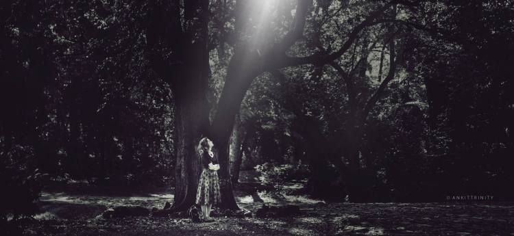 11393029_1592904870981865_6109836331430820101_o